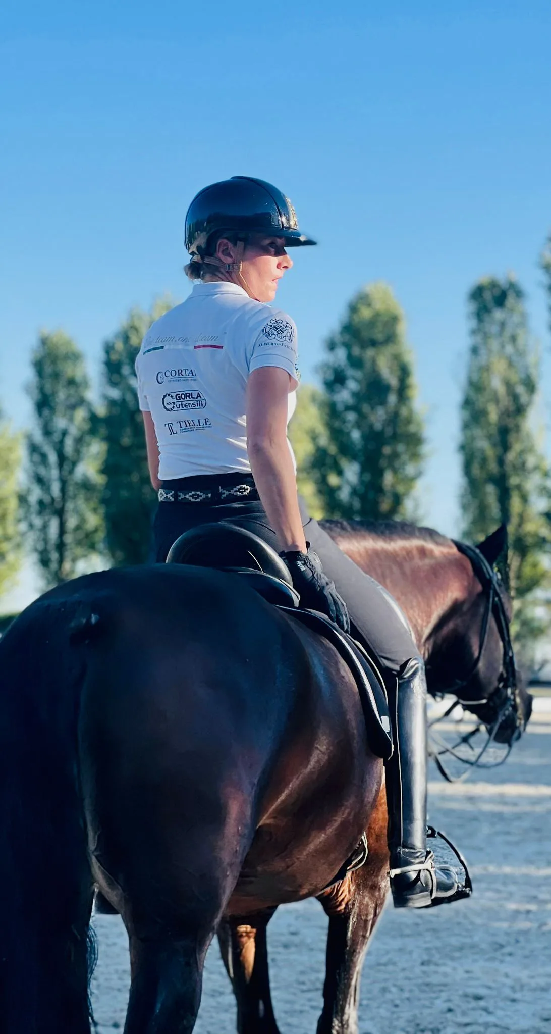 Sessione di lavoro tecnico in sella con cavallo e cavaliere