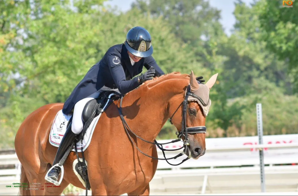 Cavaliere in sella durante una sessione di dressage